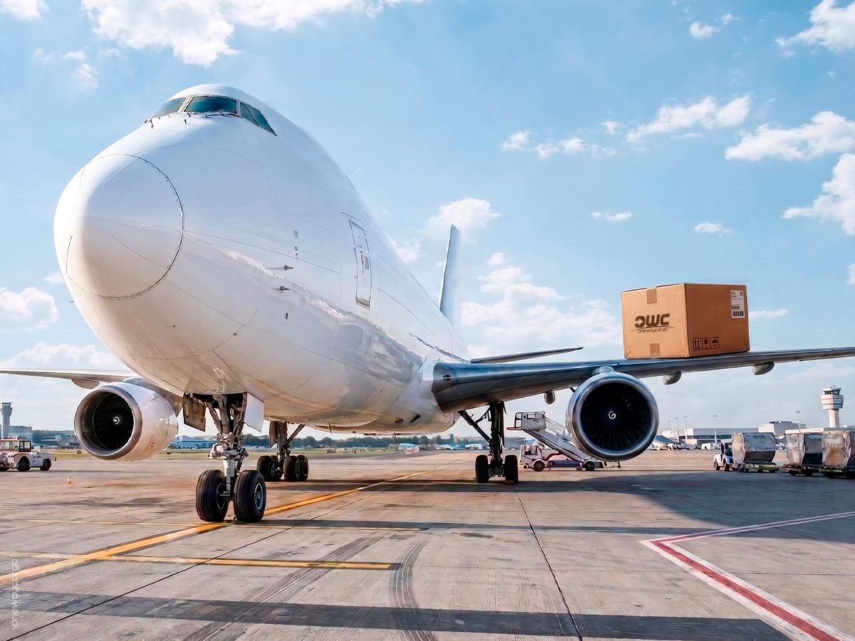 Avión de carga de One Way Cargo siendo cargado con pallets en pista